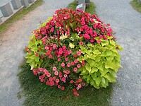 P1027756