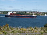 P1028338