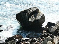 P1029411