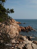 P1029502
