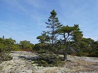P1029527