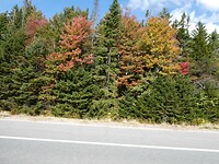 P1029774