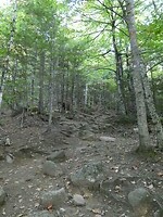 P1029849