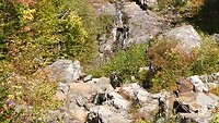 white mountain national park