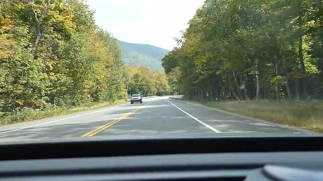 white mountain national park