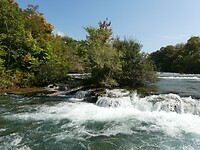 P1031033