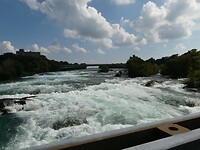 P1031117