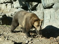 P1033367