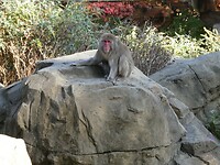 P1033406