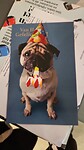IMG-20241113-WA0027