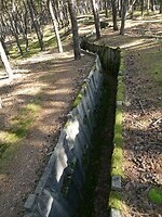 P1065791