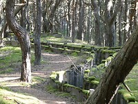 P1065822
