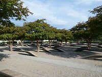 P1003987