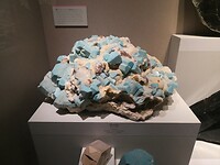 P1004270