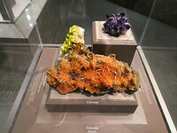 P1004288