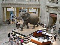 P1004301