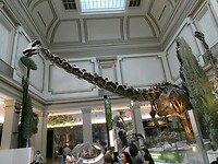 P1004351