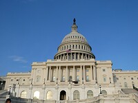 P1004449