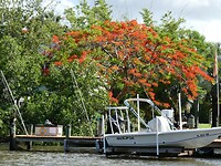 P1005630