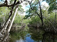 P1005648