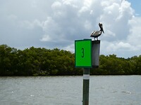 P1005676