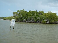 P1005683