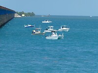 P1005835