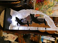 P1005906