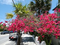 P1005919