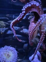 20260529_091553