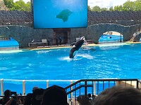 20260529_120512(0)