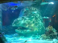 20260529_151254