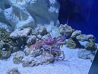 20260530_102102