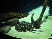 20260530_102445