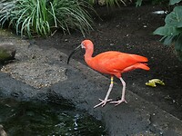 P1006005