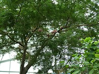 P1006018