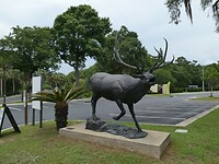 P1006295