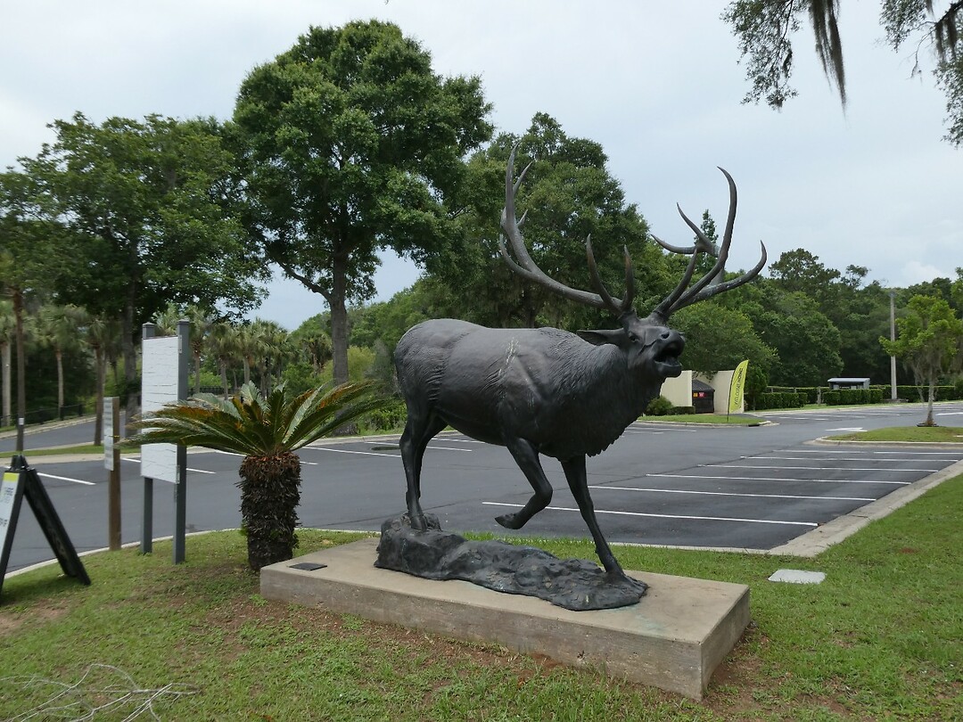 P1006295
