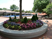 P1006419