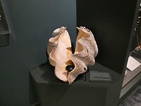 P1006483