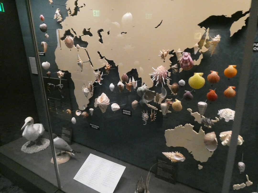 P1006487