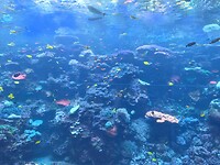 20260602_092340