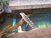 20260602_095946