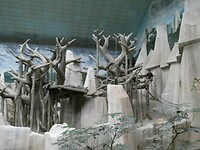 P1010005