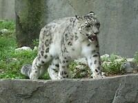 P1010045