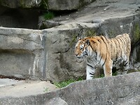 P1010068