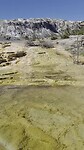 mammoth hot springs