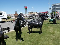 P1011360