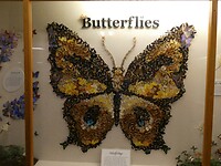 P1011412