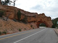 P1011926